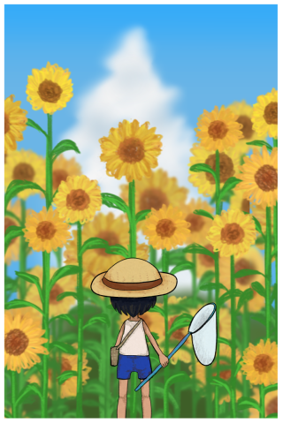 ハガキ